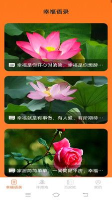 幸福满满