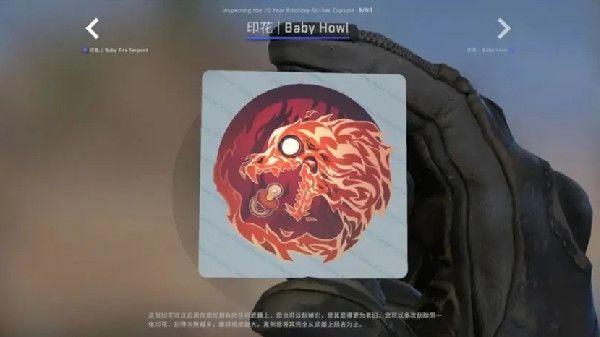 CSGO十周年胶囊多少钱十周年胶囊怎么获得 CSGO十周年胶囊多少钱十周年胶囊怎么获得