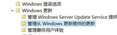win10家庭版如何禁止更新win11win10家庭版禁止更新win11的方法详解 win10家庭版如何禁止更新win11win10家庭版禁止更新win11的方法详解