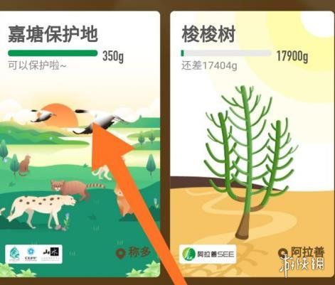 支付宝蚂蚁森林嘉塘保护地怎么申请支付宝蚂蚁森林嘉塘保护地申请方法 支付宝蚂蚁森林嘉塘保护地怎么申请支付宝蚂蚁森林嘉塘保护地申请方法