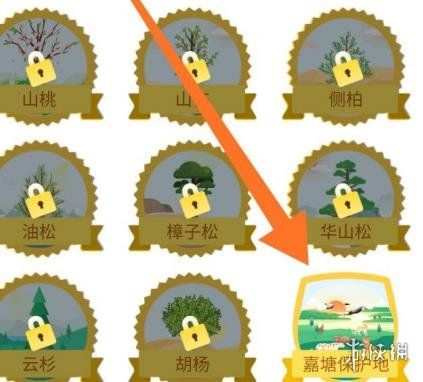 支付宝蚂蚁森林嘉塘保护地怎么申请支付宝蚂蚁森林嘉塘保护地申请方法 支付宝蚂蚁森林嘉塘保护地怎么申请支付宝蚂蚁森林嘉塘保护地申请方法
