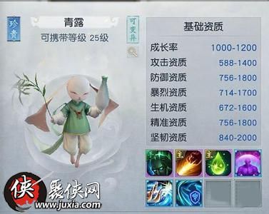 镇魔曲手游夜狩带什么宝宝 镇魔曲手游夜狩带什么宝宝