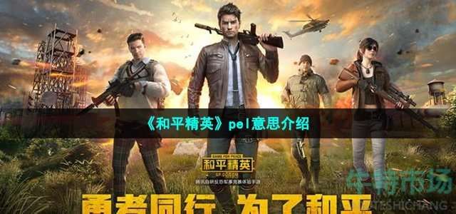 和平精英pel意思介绍 和平精英pel意思介绍