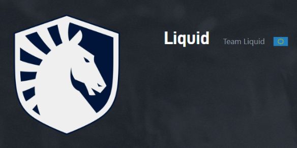 ti13国际邀请赛冠军是哪只队伍Liquid战队夺冠 ti13国际邀请赛冠军是哪只队伍Liquid战队夺冠