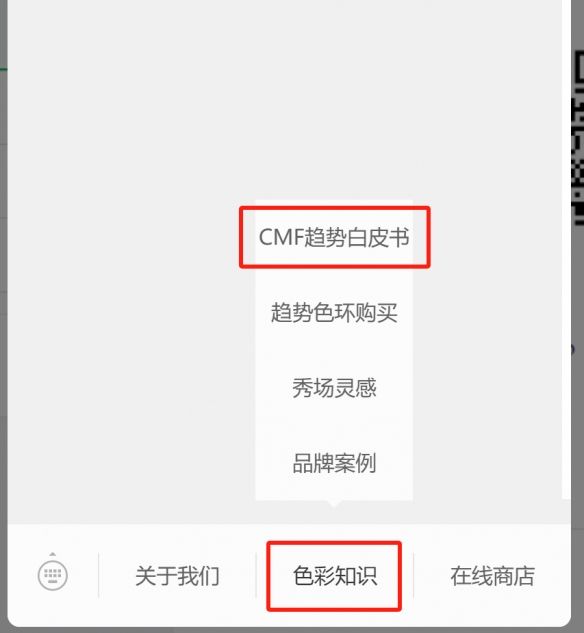 COLORO联合寻材问料发布2025CMF流行趋势白皮书 COLORO联合寻材问料发布2025CMF流行趋势白皮书