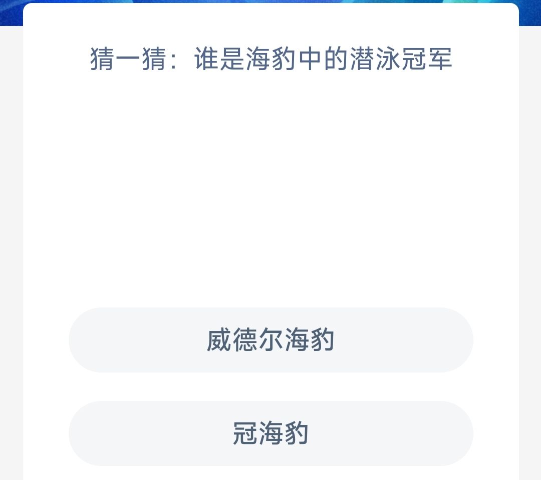 猜一猜谁是海豹中的潜泳冠军 猜一猜谁是海豹中的潜泳冠军