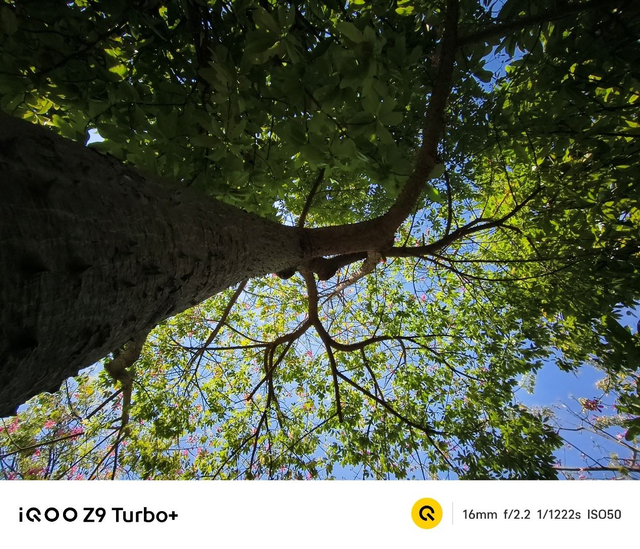iQOOZ9Turbo+评测:两天一充的天玑9300+旗舰,还能这么轻薄 iQOOZ9Turbo+评测:两天一充的天玑9300+旗舰,还能这么轻薄