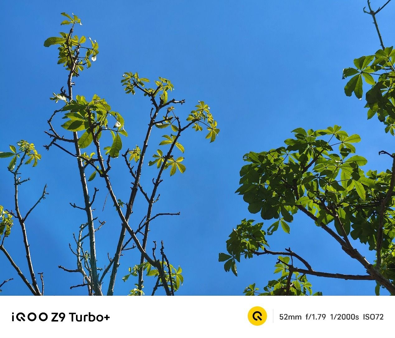 iQOOZ9Turbo+评测:两天一充的天玑9300+旗舰,还能这么轻薄 iQOOZ9Turbo+评测:两天一充的天玑9300+旗舰,还能这么轻薄
