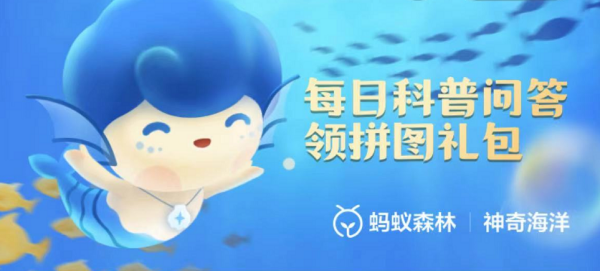 猜一猜:海马会通过以下哪种方式避暑 猜一猜:海马会通过以下哪种方式避暑