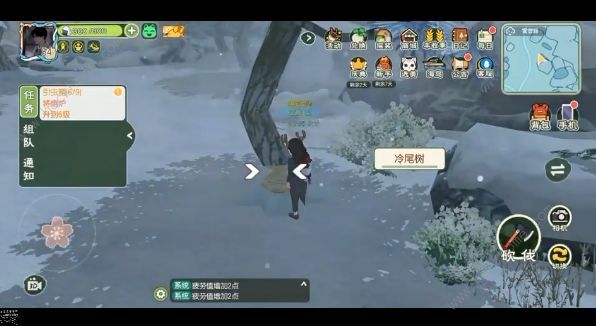 小森生活雾雪峰怎么钓鱼雾雪峰鱼类钓取时间详解