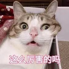 微软Office全家桶再爆办公革命,o1模型加持重塑十亿人工作流!1句话生成PPT+自定义智能体 微软Office全家桶再爆办公革命,o1模型加持重塑十亿人工作流!1句话生成PPT+自定义智能体