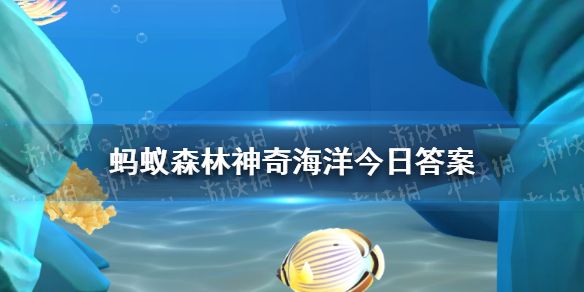 箱水母被称为“海黄蜂”,主要是因为神奇海洋9月3日答案 箱水母被称为“海黄蜂”,主要是因为神奇海洋9月3日答案