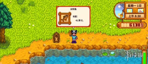 星露谷物语腌制鱼子酱方法 星露谷物语腌制鱼子酱方法