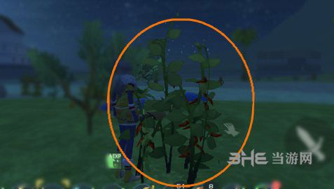 创造与魔法朝天椒有什么用朝天椒作用及食谱介绍 创造与魔法朝天椒有什么用朝天椒作用及食谱介绍