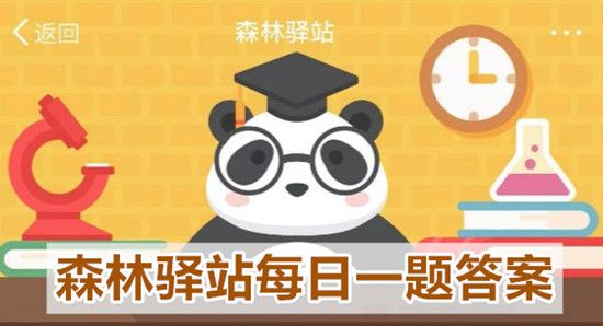 森林驿站2020.7.10每日一题答案 森林驿站2020.7.10每日一题答案