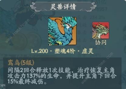 寻道大千鸾鸟双奶宠流怎么搭配鸾鸟双奶宠流精怪武器灵脉推荐 寻道大千鸾鸟双奶宠流怎么搭配鸾鸟双奶宠流精怪武器灵脉推荐