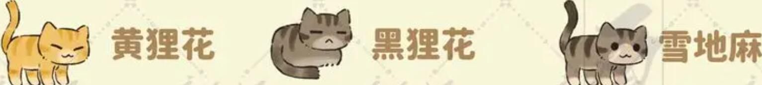 桃源深处有人家猫咪喜好大全所有猫咪喜好礼物一览 桃源深处有人家猫咪喜好大全所有猫咪喜好礼物一览