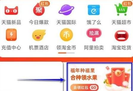 福年种福果怎样进行合种 福年种福果怎样进行合种