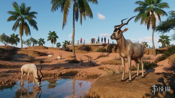 动物园之星新DLC“干旱动物”发售本体史低促销中