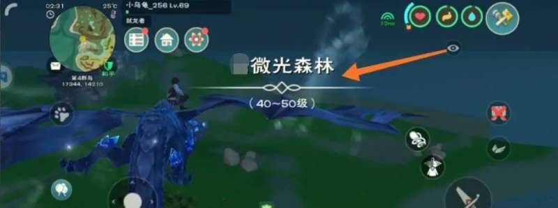 创造与魔法微光森林位置一览 创造与魔法微光森林位置一览