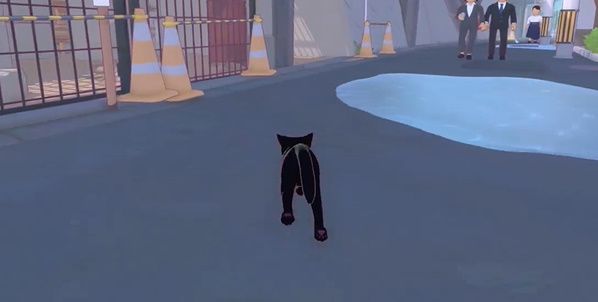 小猫咪大城市五个箱子位置一览 小猫咪大城市五个箱子位置一览