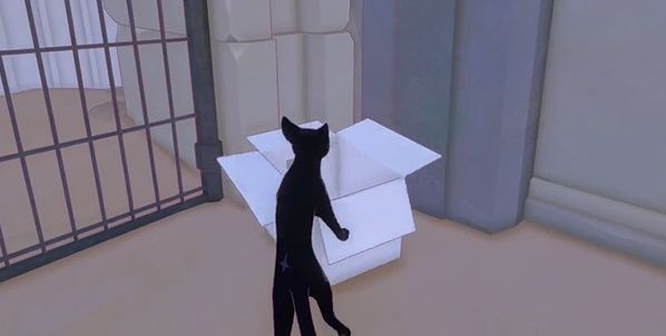 小猫咪大城市五个箱子位置一览 小猫咪大城市五个箱子位置一览