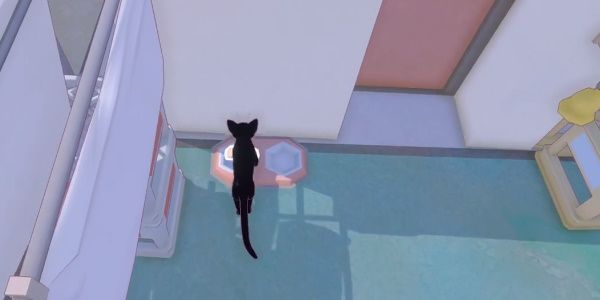 小猫咪大城市等待一缕阳光成就达成一览 小猫咪大城市等待一缕阳光成就达成一览