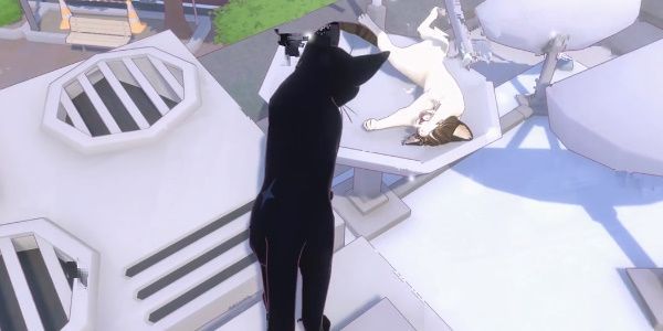 小猫咪大城市等待一缕阳光成就达成一览 小猫咪大城市等待一缕阳光成就达成一览