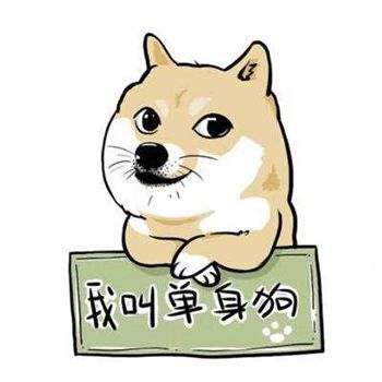 双十一单身节到了请关爱身边的单身狗 双十一单身节到了请关爱身边的单身狗