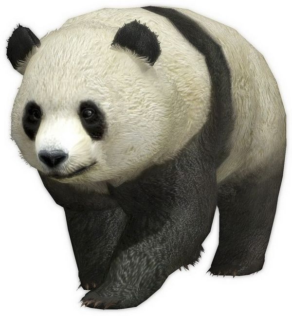 真三国无双6今日发售游戏详情公布 真三国无双6今日发售游戏详情公布