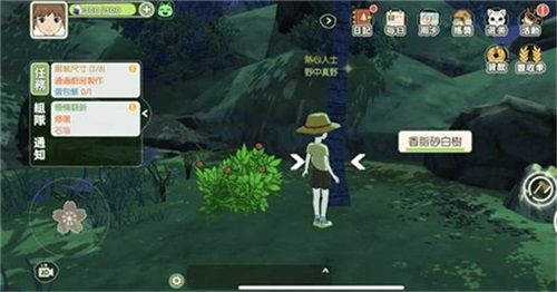 小森生活香脂砂白树在哪刷新位置介绍 小森生活香脂砂白树在哪刷新位置介绍
