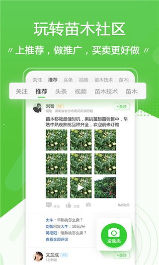 苗木通