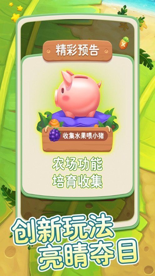 考拉爱水果