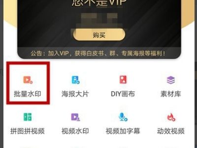 微脉水印相机