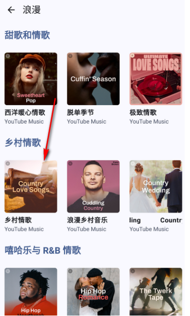 Metrolist音乐下载最新版本v10.8.0 安卓版