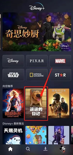 disney+下载安卓最新版v4.0.2官方版