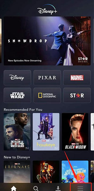 disney+下载安卓最新版v4.0.2官方版