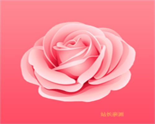 秀秀直播安卓手机版