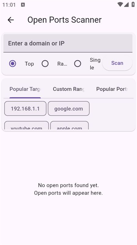 Vernet网络分析app手机版