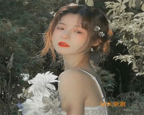 甜瓜直播