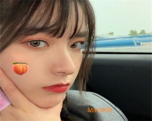 蘑菇直播下载