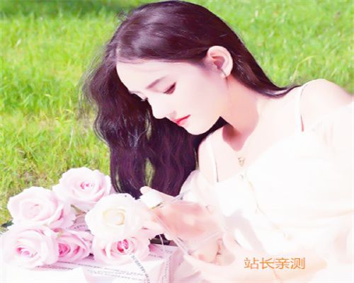 玫瑰官方直播