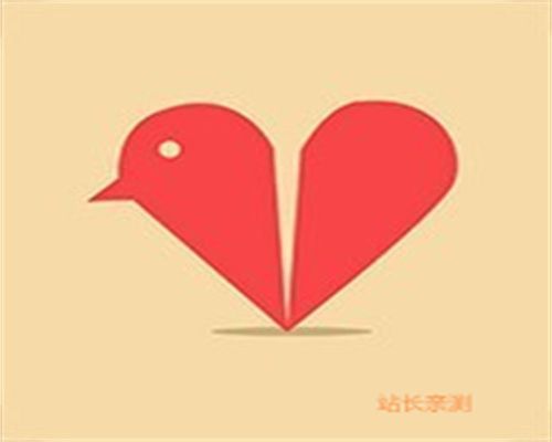 有鸟直播最新二维码
