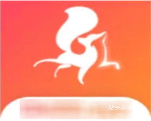 小狐狸直播官方版