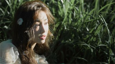 百合直播官方无限制版
