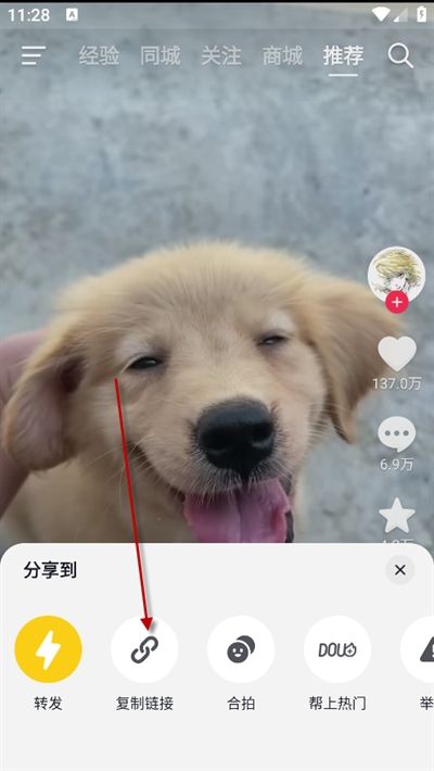 速度下载app最新版本