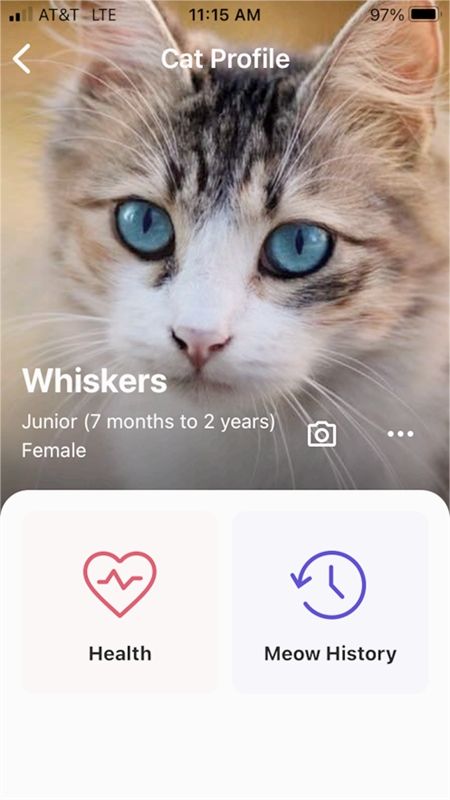 MeowTalk猫语翻译器软件中文最新版