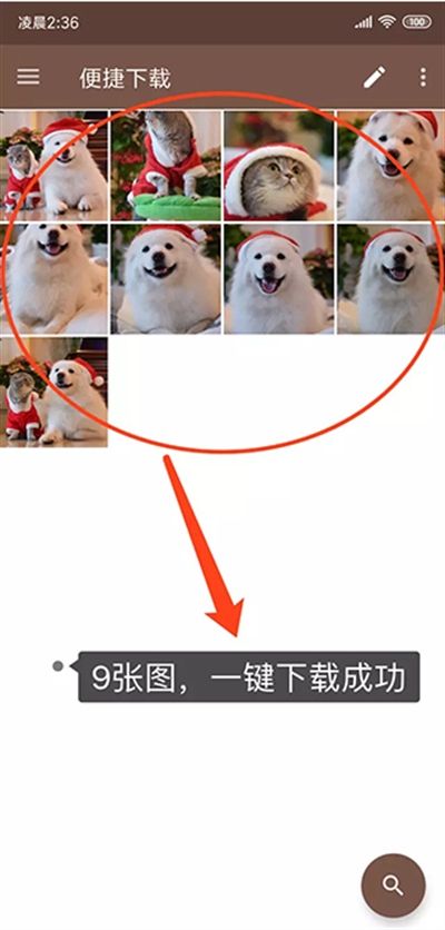 便捷下载免费版app