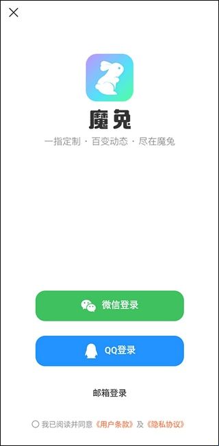 魔兔live2d